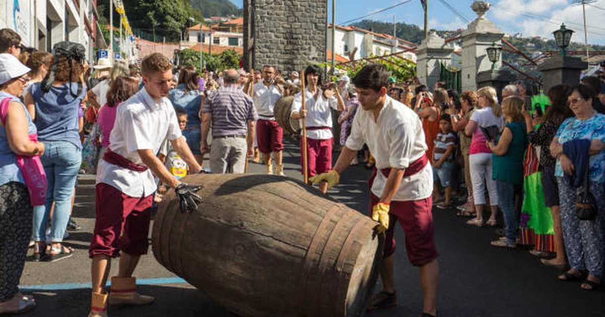 Festival Madeira apartamentos alquiler