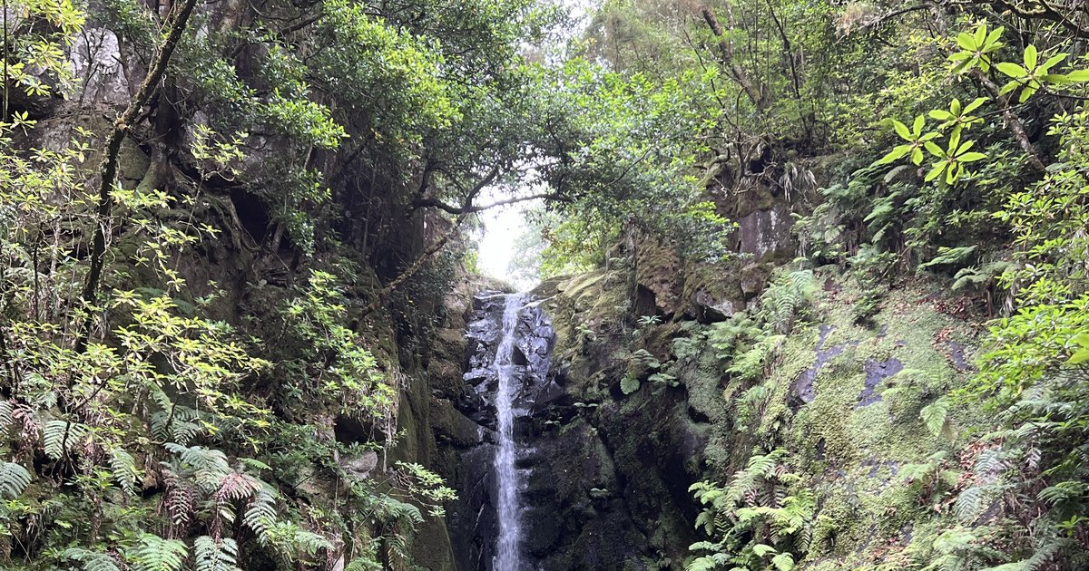 Waterval Madeira vakantieappartementen