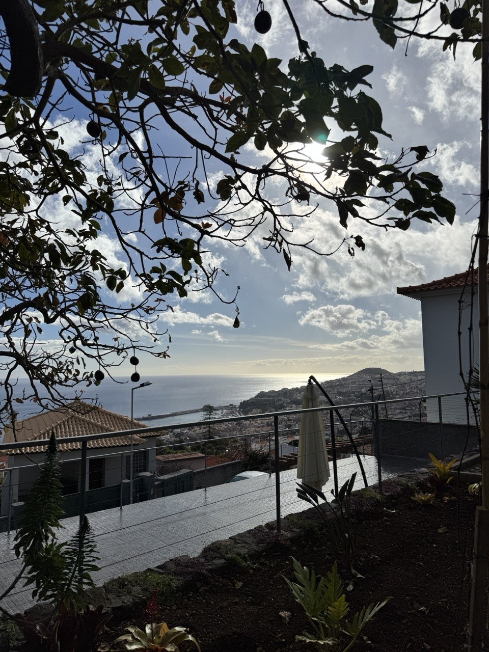 Terrace with ocean view — Botanical Garden Retreat