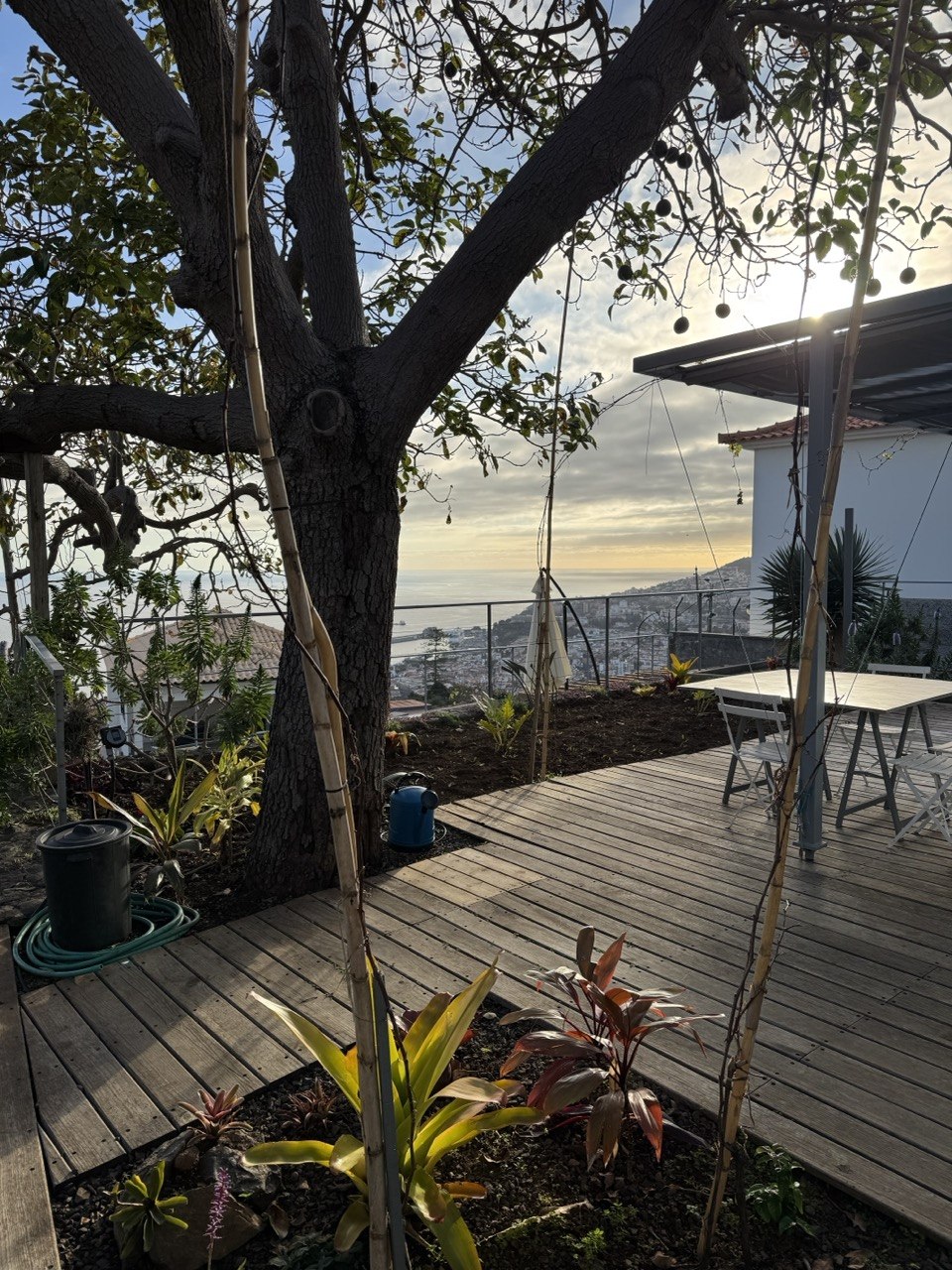 Living room — Botanical Garden Retreat