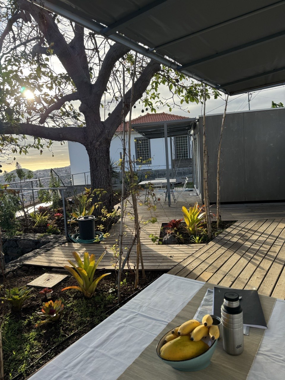 Full kitchen — Botanical Garden Retreat