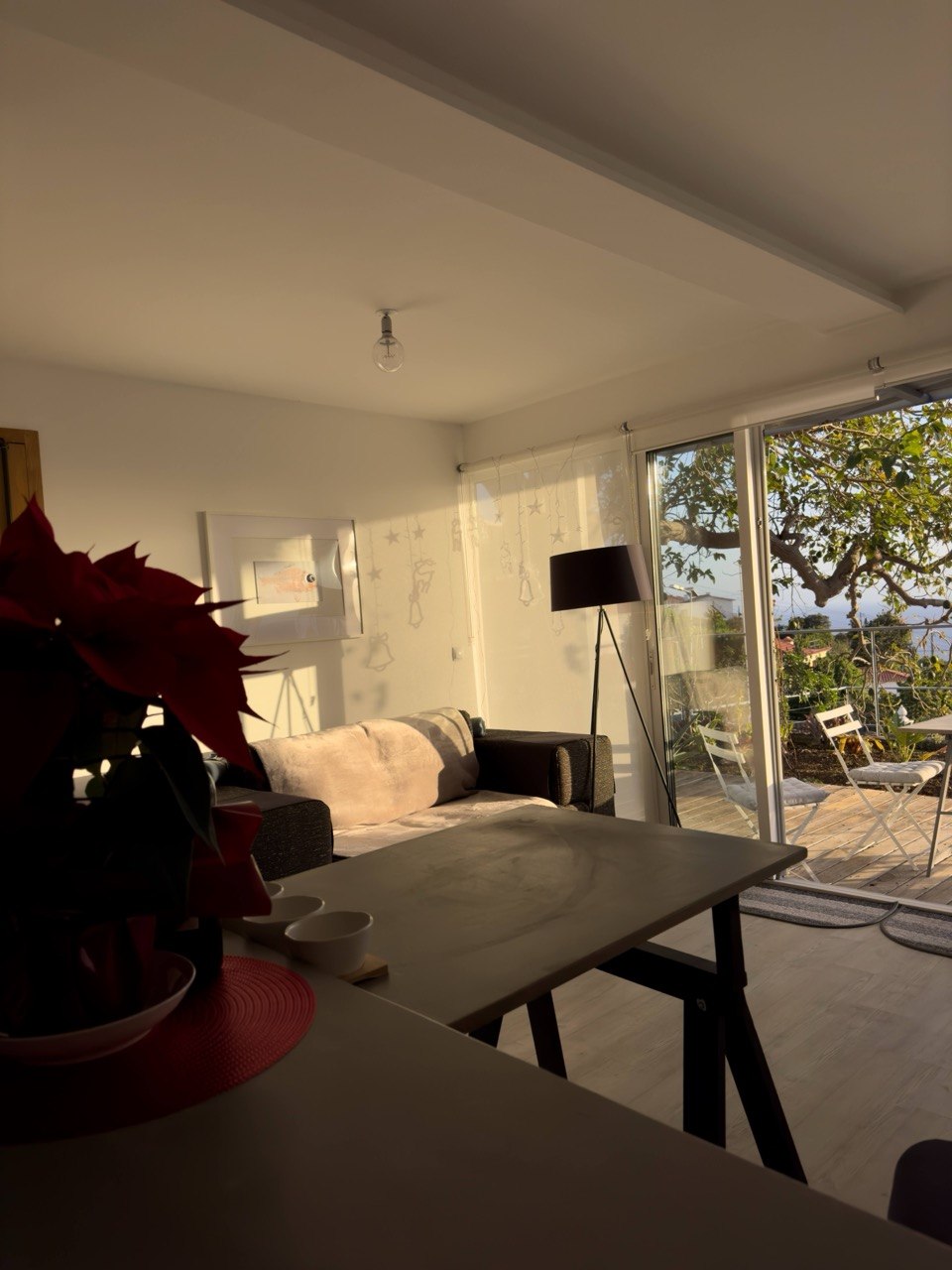 Living room at sunset — Botanical Garden Retreat