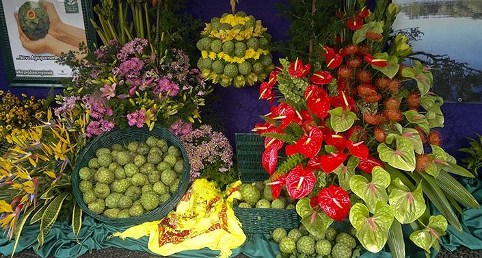 Festa da Anona Cherimoya Festival Faial exotic fruits flowers Madeira