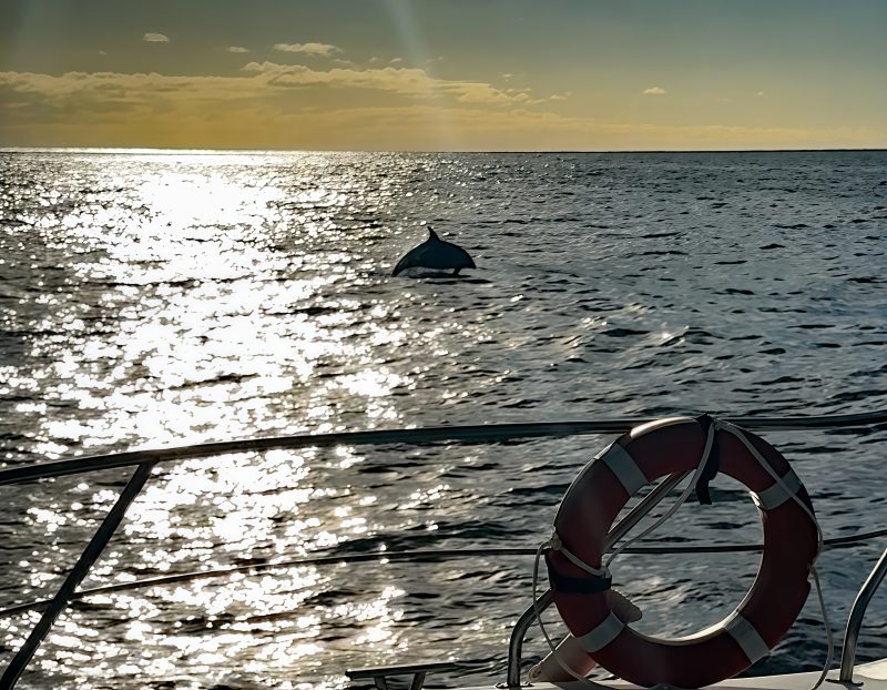 Yacht cruise Madeira sunset
