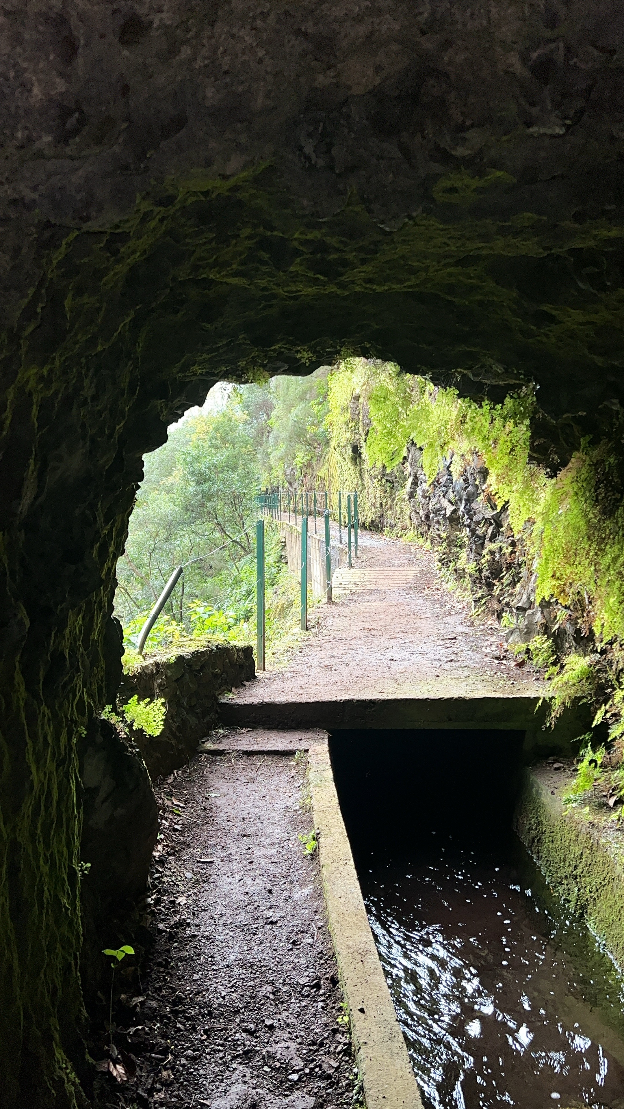 Levada walking trail Madeira