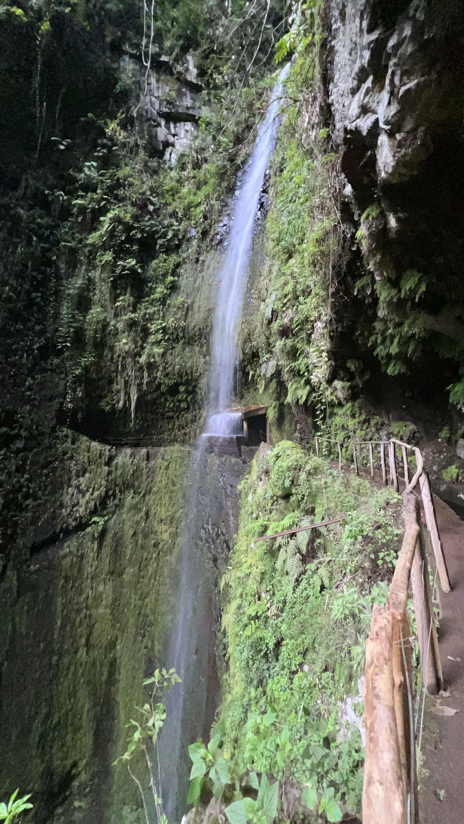 Best camping spots Madeira